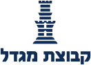 קבוצת מגדל